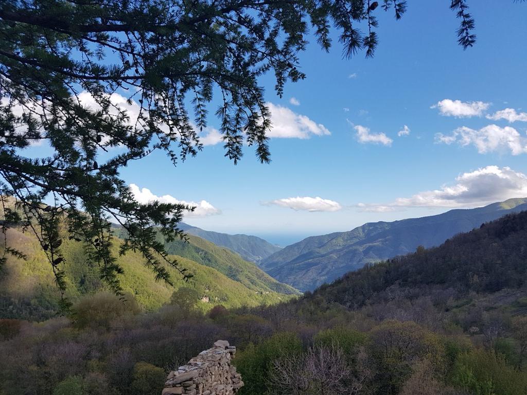 Agriturismo La Fontana Dell'Olmo 호텔 Molini di Triora 외부 사진